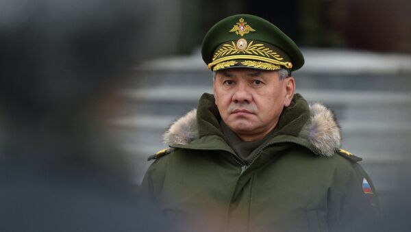 Министр обороны РФ Сергей Шойгу. Архивное фото Министр обороны РФ Сергей Шойгу. Архивное фото