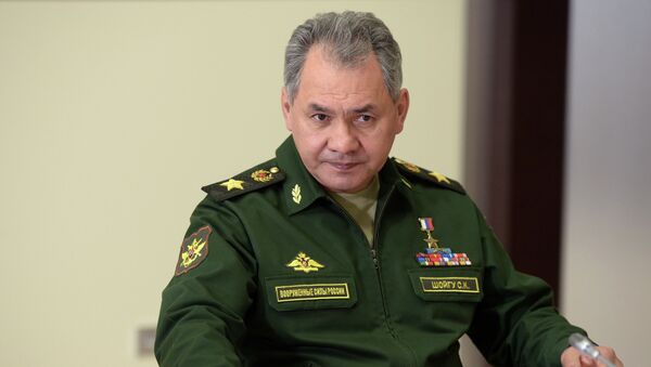 Министр обороны РФ Сергей Шойгу. Архивное фото Министр обороны РФ Сергей Шойгу. Архивное фото