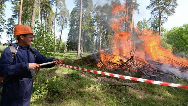 Сотрудник лесной охраны тушит пожар в рамках командно-штабных учений МЧС в Зеленодольске. Архивное фото Сотрудник лесной охраны тушит пожар в рамках командно-штабных учений МЧС в Зеленодольске. Архивное фото