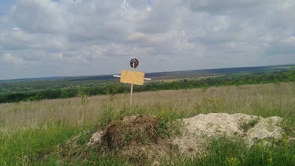 Поиски и эксгумация тел солдат ВСУ в Луганской области Поиски и эксгумация тел солдат ВСУ в Луганской области