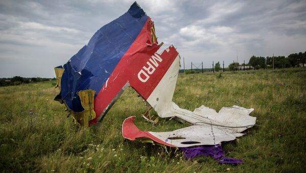 Обломки лайнера Boeing 777 Малайзийских авиалиний, потерпевшего крушение в районе города Шахтерск Донецкой области. Архивное фото Обломки лайнера Boeing 777 Малайзийских авиалиний, потерпевшего крушение в районе города Шахтерск Донецкой области. Архивное фото