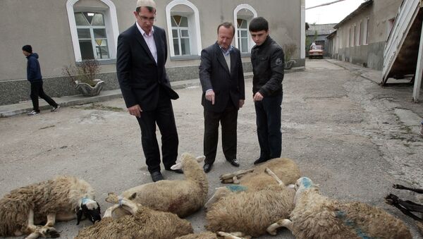 Празднование Курбан-Байрама в Крыму Празднование Курбан-Байрама в Крыму
