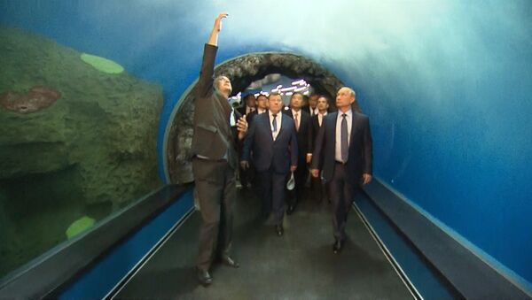 Огромные аквариумы и туннели: Путин осмотрел океанариум на острове Русский Огромные аквариумы и туннели: Путин осмотрел океанариум на острове Русский