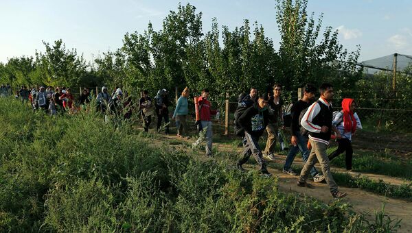 Группа беженцев двигаются в сторону границы Сербии с Хорватией. 16 сентября 2015 Группа беженцев двигаются в сторону границы Сербии с Хорватией. 16 сентября 2015