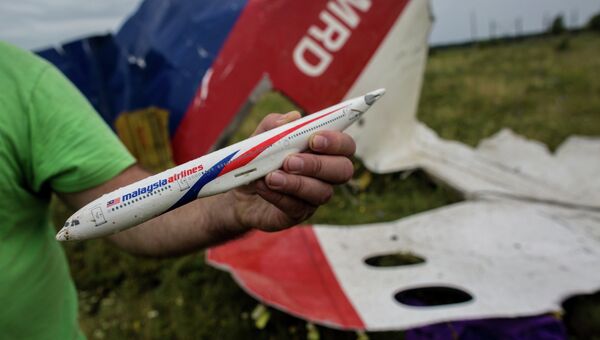 Мужчина демонстрирует модель разбившегося самолета, найденную на месте крушения лайнера Boeing 777 Малайзийских авиалиний в районе села Рассыпное Донецкой области. Архивное фото Мужчина демонстрирует модель разбившегося самолета, найденную на месте крушения лайнера Boeing 777 Малайзийских авиалиний в районе села Рассыпное Донецкой области. Архивное фото