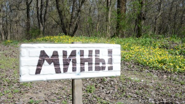 Указатель Мины близ линии разграничения в ЛНР. Архивное фото Указатель Мины близ линии разграничения в ЛНР. Архивное фото