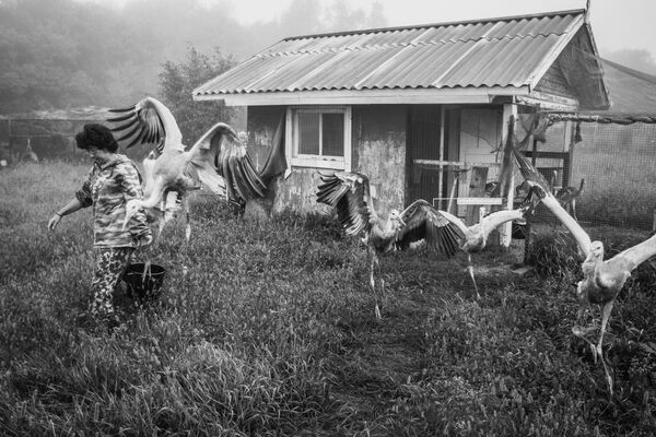 Фотоработы вошедшие в шорт-лист конкурса имени Андрея Стенина Фотоработы вошедшие в шорт-лист конкурса имени Андрея Стенина
