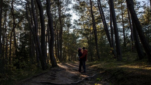 Молодые люди гуляют в национальном парке Куршская коса Молодые люди гуляют в национальном парке Куршская коса