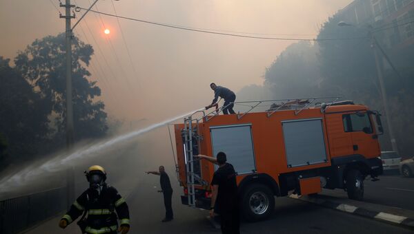 Пожарные тушат лесной пожар в городе Хайфа, Израиль. 24 ноября 2016 Пожарные тушат лесной пожар в городе Хайфа, Израиль. 24 ноября 2016