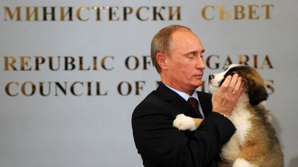 Владимир Путин с собакой, подаренной ему болгарским премьер-министром Бойко Борисовым после их пресс-конференции в Софии, Болгария Владимир Путин с собакой, подаренной ему болгарским премьер-министром Бойко Борисовым после их пресс-конференции в Софии, Болгария