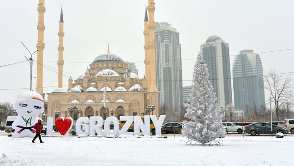 Зима в Грозном. Архивное фото Зима в Грозном. Архивное фото