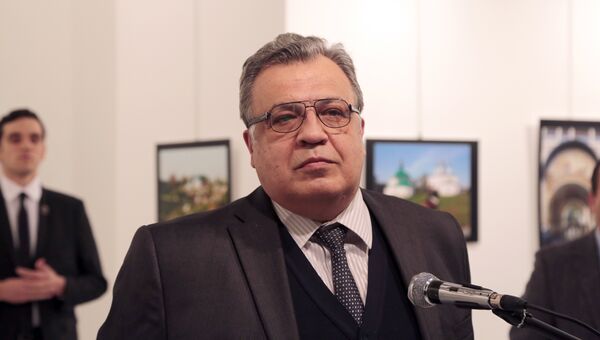 Посол России в Турции Андрей Карлов во время выступления в галерее в городе Анкара Посол России в Турции Андрей Карлов во время выступления в галерее в городе Анкара