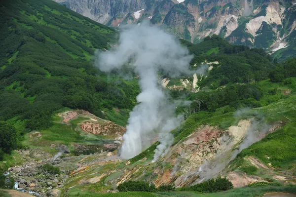 Извержение гейзера Великан в Долине Гейзеров в Кроноцком государственном природном биосферном заповеднике на Камчатке