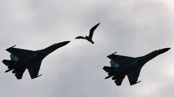 Самолеты-перехватчики Су 27 в Санкт-Петербурге Самолеты-перехватчики Су 27 в Санкт-Петербурге