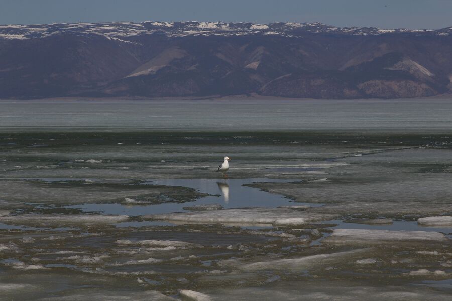 Малое море, озеро Байкал Малое море, озеро Байкал