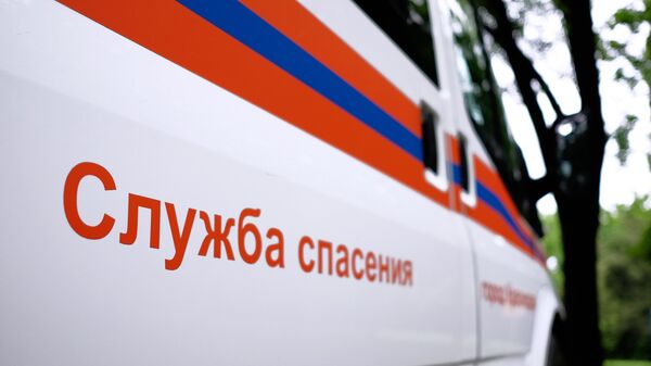 Очевидец сообщил об аварийной посадке вертолета в Новосибирской области