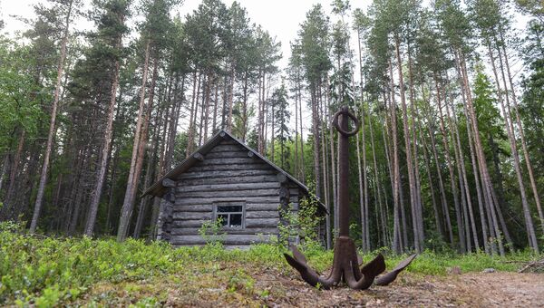 Лесная охотничья избушка на берегу Онежского залива в районе мыса Глубокий Лесная охотничья избушка на берегу Онежского залива в районе мыса Глубокий