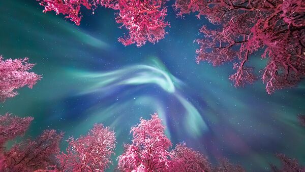 Работа фотографа Yulia Zhulikova Auroral Crown, вошедшая в шорт-лист Insight Astronomy Photographer of the Year 2017 Работа фотографа Yulia Zhulikova Auroral Crown, вошедшая в шорт-лист Insight Astronomy Photographer of the Year 2017