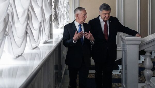 Президент Украины Петр Порошенко и министр обороны США Джеймс Мэттис во время встречи в Киеве. 24 августа 2017 Президент Украины Петр Порошенко и министр обороны США Джеймс Мэттис во время встречи в Киеве. 24 августа 2017