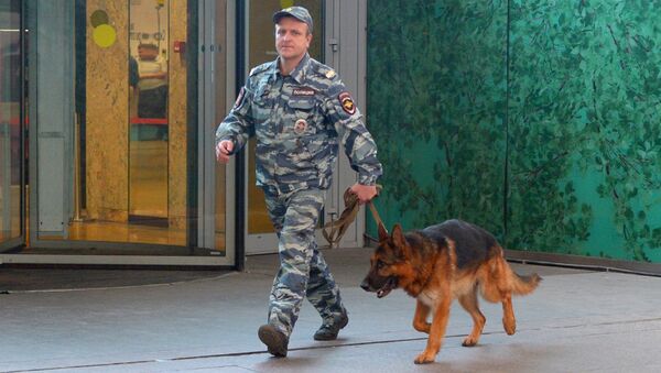 Кинолог с собакой после сообщения о минировании. Архивное фото Кинолог с собакой после сообщения о минировании. Архивное фото
