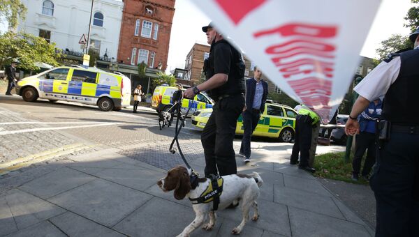 Полиция у станции метро Parsons Green в Лондоне. 15 сентября 2017 Полиция у станции метро Parsons Green в Лондоне. 15 сентября 2017