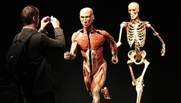 Анатомическая выставка реальных человеческих тел Body Worlds в Лейпциге, Германия. 3 июня 2010 Анатомическая выставка реальных человеческих тел Body Worlds в Лейпциге, Германия. 3 июня 2010