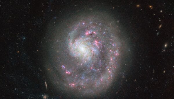Галактика NGC 4625 в созвездии Гончих Псов Галактика NGC 4625 в созвездии Гончих Псов