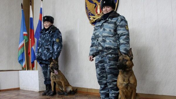 На службу в кинологическое подразделение УФСИН поступили бельгийские овчарки Малинуа, выведенные в Южной Корее путем клонирования На службу в кинологическое подразделение УФСИН поступили бельгийские овчарки Малинуа, выведенные в Южной Корее путем клонирования