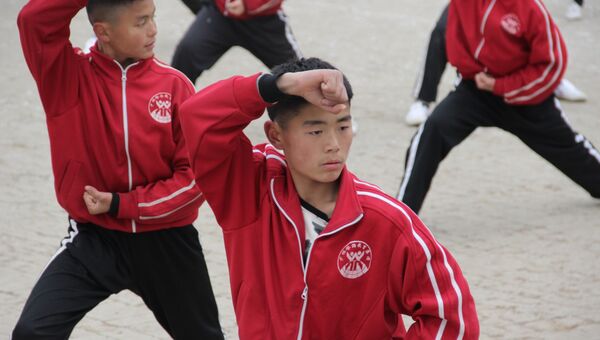 Школа боевых искусств Shaolin Tagou в провинции Хэнань. Январь 2018 год Школа боевых искусств Shaolin Tagou в провинции Хэнань. Январь 2018 год