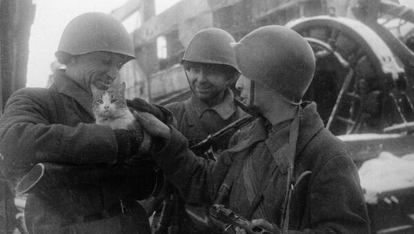 Мирные воспоминания. Сталинград, 1943 г Мирные воспоминания. Сталинград, 1943 г