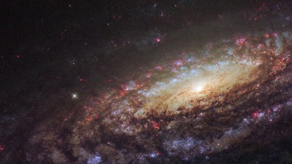 Спиральная галактика NGC 7331 в созвездии Пегас Спиральная галактика NGC 7331 в созвездии Пегас