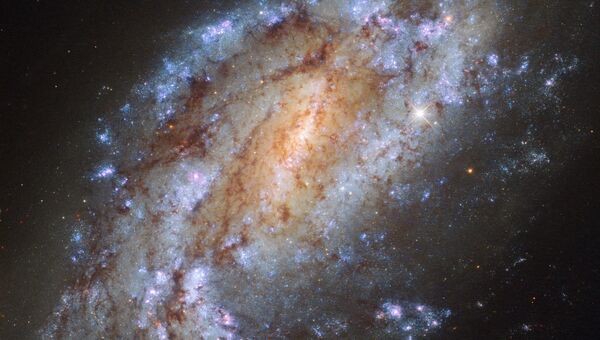 Галактика NGC 1559 в созвездии Сетки, один из самых одиноких объектов космоса Галактика NGC 1559 в созвездии Сетки, один из самых одиноких объектов космоса