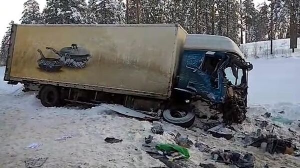 Кадры с места ДТП в Ленобласти, где погибли девять человек Кадры с места ДТП в Ленобласти, где погибли девять человек