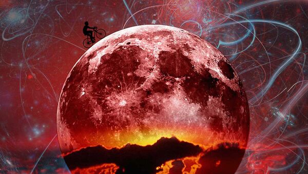 Теория муншайн в математике Теория муншайн в математике