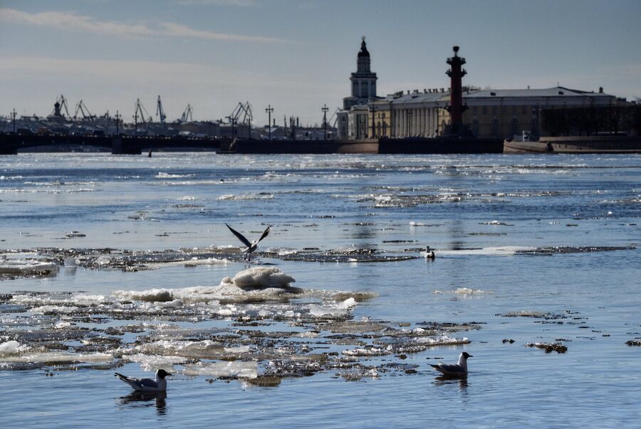 Санкт-Петербург Санкт-Петербург