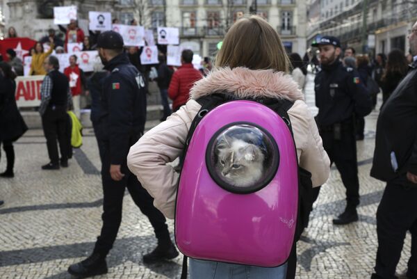 Девушка со своим питомцем наблюдает за демонстрацией в поддержку бывшего президента Бразилии Луиса Инасио Лулы да Силвы в Лиссабоне Девушка со своим питомцем наблюдает за демонстрацией в поддержку бывшего президента Бразилии Луиса Инасио Лулы да Силвы в Лиссабоне