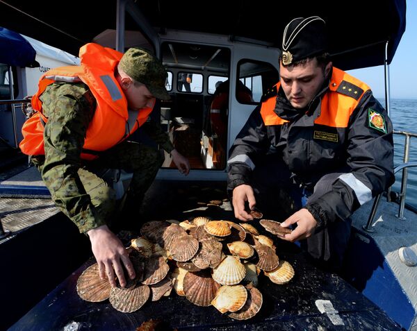 Инспекторы Пограничного управления ФСБ России во время рейда на акватории Амурского залива Инспекторы Пограничного управления ФСБ России во время рейда на акватории Амурского залива