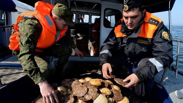 Инспекторы Пограничного управления ФСБ России во время рейда на акватории Амурского залива Инспекторы Пограничного управления ФСБ России во время рейда на акватории Амурского залива