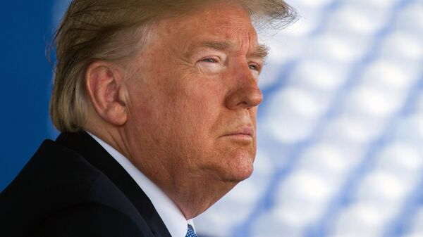 Президент США Дональд Трамп. Архивное фото Президент США Дональд Трамп. Архивное фото