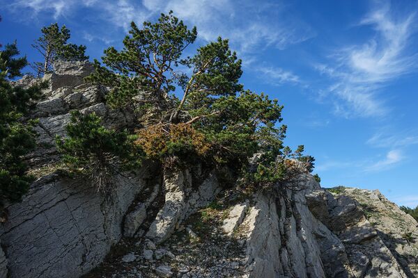 Крымский природный заповедник Крымский природный заповедник