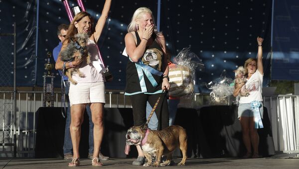 Конкурс Самая уродливая собака в мире(World's Ugliest Dog) Конкурс Самая уродливая собака в мире(World's Ugliest Dog)