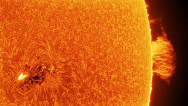 Работа фотографа Łukasz Sujka AR 2665 and Quiescent Prominence, вошедшая в шорт-лист Insight Astronomy Photographer of the Year 2018 Работа фотографа Łukasz Sujka AR 2665 and Quiescent Prominence, вошедшая в шорт-лист Insight Astronomy Photographer of the Year 2018