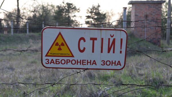 В Чернобыле обнаружили опасный радиоактивный объект