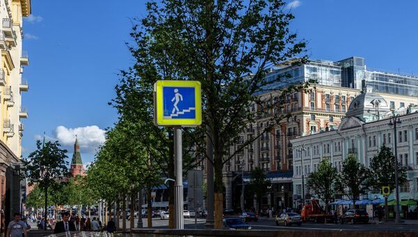 Липовая аллея на Тверской улице в Москве Липовая аллея на Тверской улице в Москве