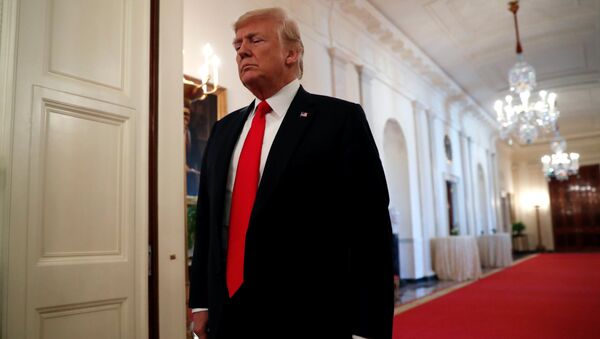 Президент США Дональд Трамп в Белом доме Президент США Дональд Трамп в Белом доме