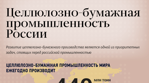 Целлюлозно-бумажная промышленность в России Целлюлозно-бумажная промышленность в России