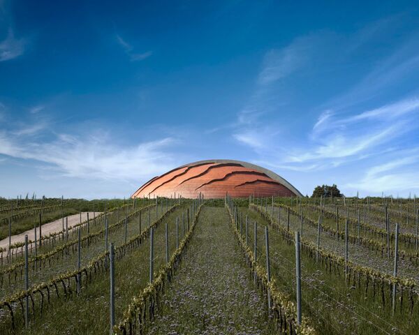 Винодельня Tenuta Castelbuono - Il Carapace в Италии Винодельня Tenuta Castelbuono - Il Carapace в Италии