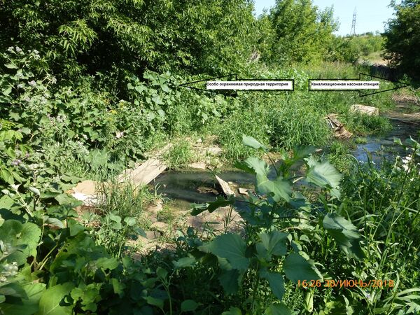 Общий вид на реку в природномпарке Общий вид на реку в природномпарке