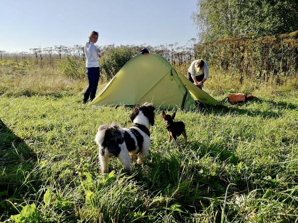 В поход можно идти с питомцами. В поход можно идти с питомцами.