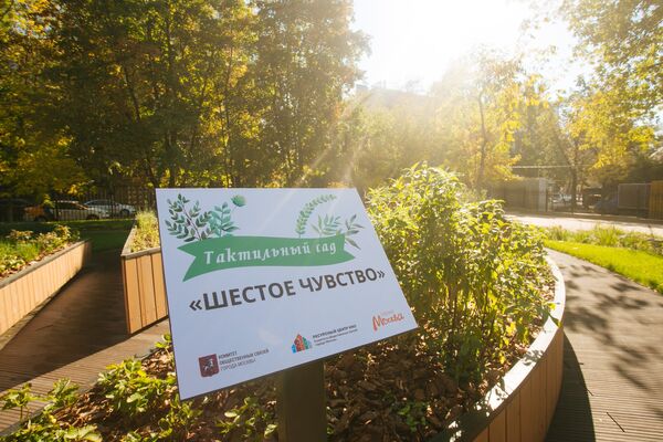 Тактильный сад Шестое чувство Тактильный сад Шестое чувство